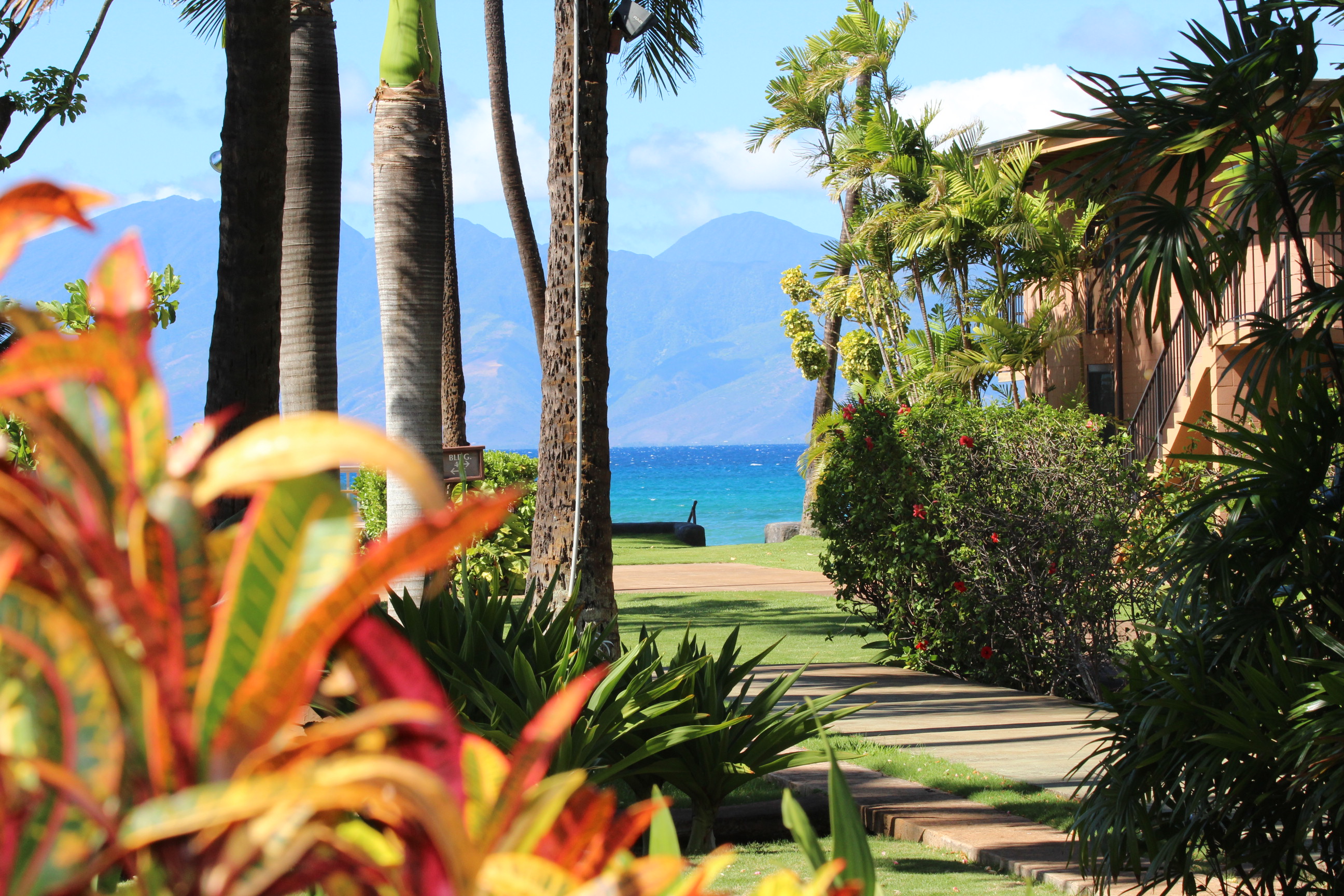 Image of the view from the yard at Maui Sands